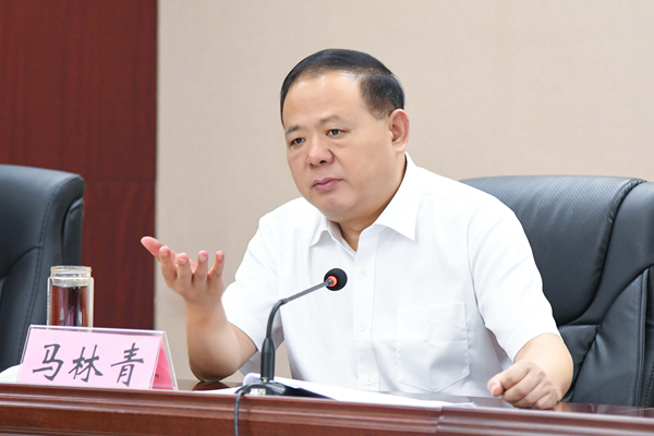 省政府食安辦主任、省市場監(jiān)管局書記馬林青講話